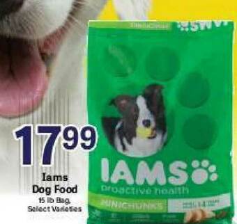 Big Y Iams Dog Food offer