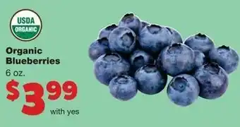 Family Fare Organic Blueberries 6 oz offer