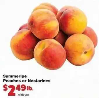 Family Fare Summeripe Peaches or Nectarine offer