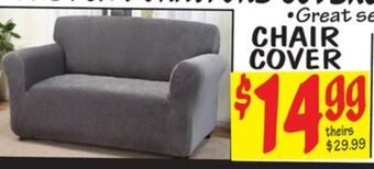 Ollie's Chair cover offer