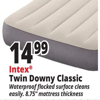 Ocean State Job Lot Intex® twin downy classic offer