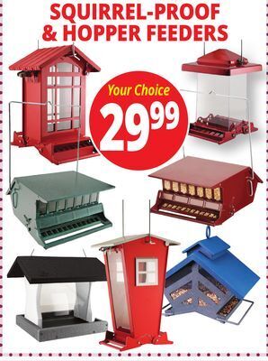 Ocean State Job Lot Squirrel-proof & hopper feeders offer