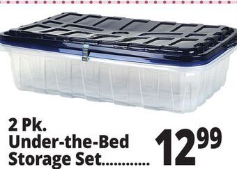 Ocean State Job Lot 2 pk. under-the-bed storage set offer