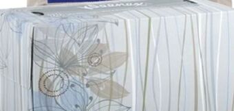 Ocean State Job Lot Kleenex basic tissue offer