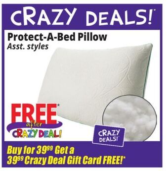 Ocean State Job Lot Protect-a-bed pillow offer