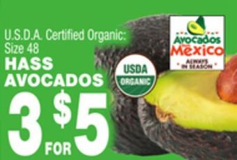 Bravo Supermarkets Hass avocados offer