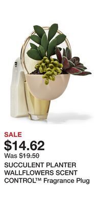 Bath & Body Works Succulent planter wallflowers scent control™ fragrance plug offer