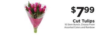 ShopRite Cut tulips offer