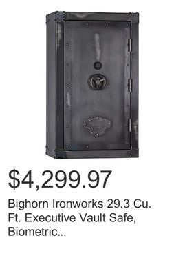 Costco Bighorn ironworks 29.3 cu. ft. executive vault safe, biometric lock, fire rated offer