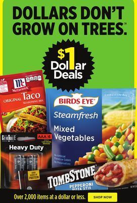 Dollar General Food items offer