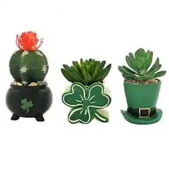Kohl's Celebrate together™ st. patrick's day succulent trio offer