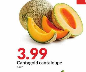 Hy-Vee Cantagold cantaloupe offer