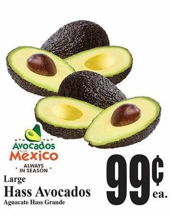 Baja Ranch Large hass avocados offer