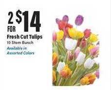 Big Y Fresh cut tulips offer