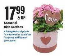Big Y Seasonal dish gardens offer