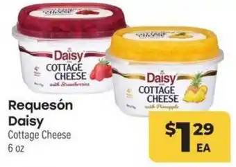 Requeson daisy