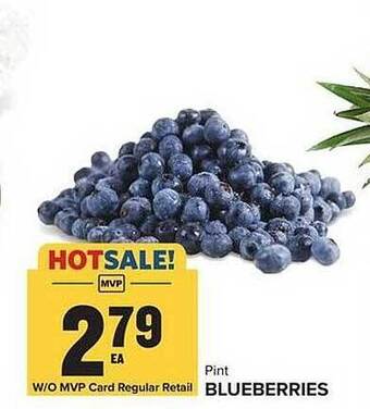 Food Lion Blueberries offer