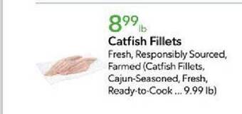 Publix Catfish fillets offer