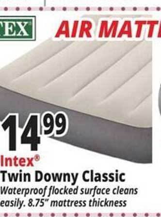 Ocean State Job Lot Intex twin downy classic offer
