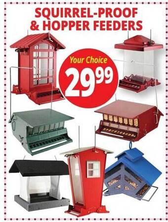 Ocean State Job Lot Squirrel-proof & hopper feeders offer