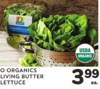 Albertsons O Organics Living Butter Lettuce offer