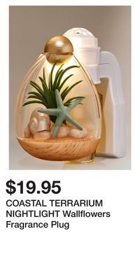 Bath & Body Works Coastal terrarium nightlight wallflowers fragrance plug offer