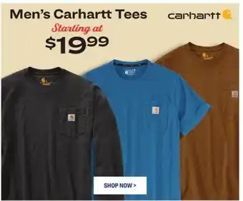 Academy Men's carhartt tees offer