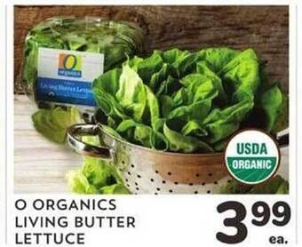 Albertsons O organics living butter lettuce offer