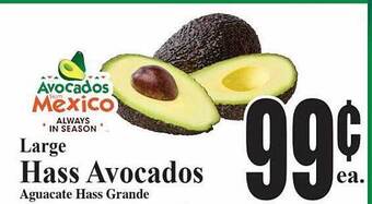Baja Ranch Large hass avocados offer