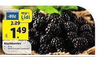 Lidl Blackberries offer