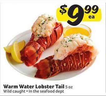 Winn Dixie Warm water lobster tail offer