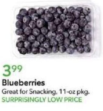 Publix Blueberries 11-oz pkg. offer