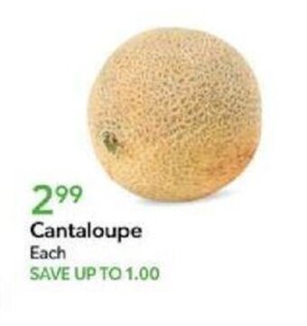 Publix Cantaloupe offer
