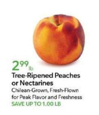 Publix Tree-Ripened Peaches or Nectarines offer