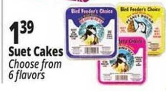 Ocean State Job Lot Suet cakes choose from 6 flavors offer