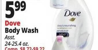 Ocean State Job Lot Dove body wash offer