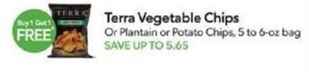 Publix Terra Vegetable Chips offer