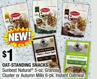 Dollar Tree Oat-Standing Snacks offer