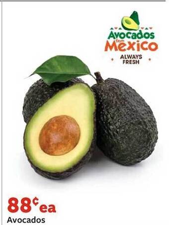 Fareway Avocados offer