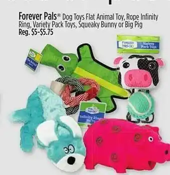 Dollar General Forever pals dog toys flat animal toy, rope infinity ring, variety pack toys, squeaky bunny or big pig offer
