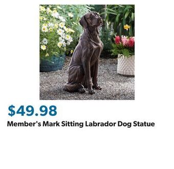 Sam's Club Member's mark sitting labrador dog statue offer