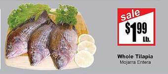 Rancho Markets Whole tilapia offer