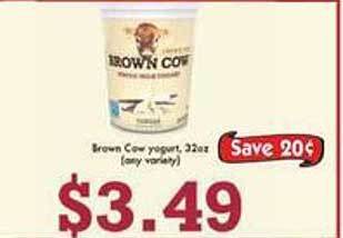 Market Basket Brown cow yogurt offer