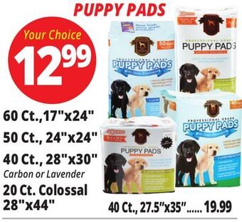 Ocean State Job Lot Puppy pads offer