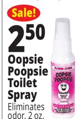 Ocean State Job Lot Oopsie poopsie toilet spray offer