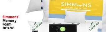 Ocean State Job Lot Simmons® memory foam 20"x28" offer