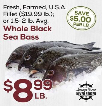 DeCicco & Sons Whole black sea bass offer