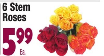 King Kullen 6 stem roses offer
