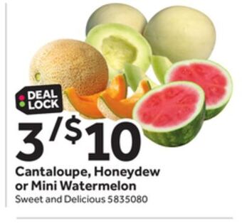 Stop&Shop Cantaloupe, honeydew or mini watermelon offer