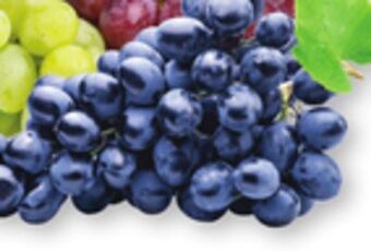 The Fresh Grocer Black seedless grapes offer